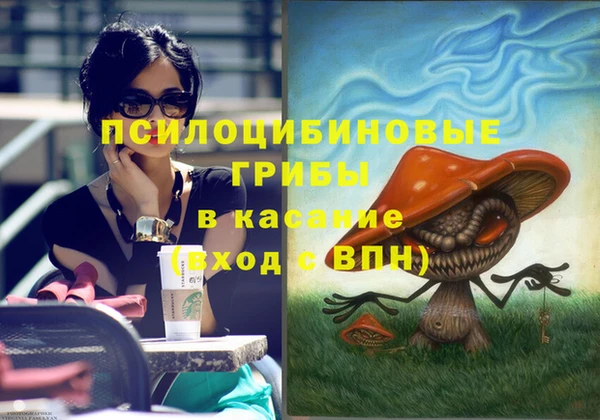 альфа пвп Алексеевка